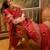 red banarasi jacquard saree with rich zari weaving & tassel pallu     includes unstitched blouse