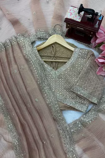 Peach Color Intricate Thred With Sequnce Work Tissue Saree
