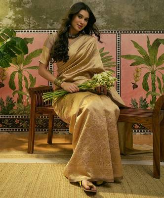 beige woven design saree with subtle border 2