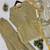 Gold fendy sequin kurta palazzo set with dupatta