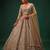 Beige Net Heavily Embroidered Royal Bridal Reception Lehenga Choli Set