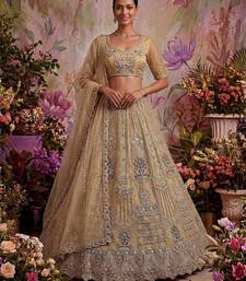 Beige Net Embroidered Designer Lehenga Choli Set