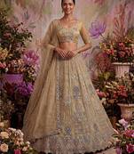 Beige Net Embroidered Designer Lehenga Choli Set