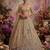 Beige Net Embroidered Designer Lehenga Choli Set