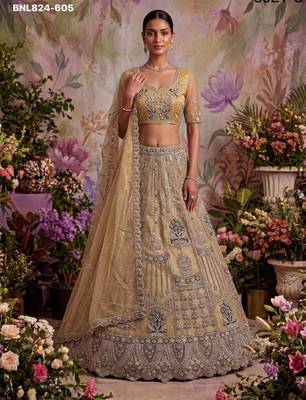 Beige Net Embroidered Designer Lehenga Choli Set 2