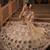  cream color Coding Sequins Work With Cancan net Lehenga Choli set