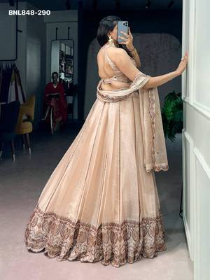 Beige Silk Blend Embroidered Designer Lehenga Choli Set 2
