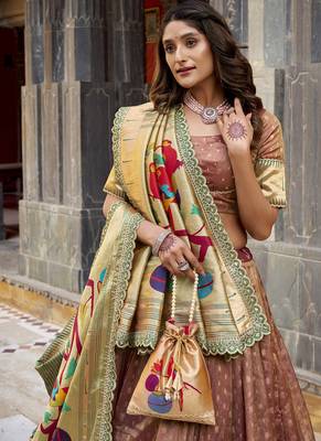 Festive Shimmer Organza Zari Woven Chaniya Choli with Designer Lace Border 2
