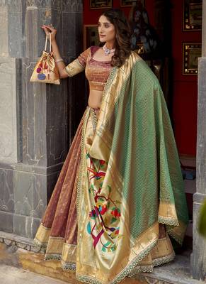 Festive Shimmer Organza Zari Woven Chaniya Choli with Designer Lace Border 4