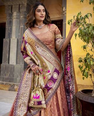 Festive Shimmer Organza Zari Woven Chaniya Choli with Designer Lace Border 2