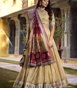 Festive Shimmer Organza Zari Woven Chaniya Choli with Designer Lace Border