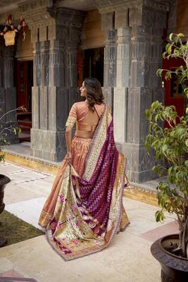 Festive Shimmer Organza Zari Woven Chaniya Choli with Designer Lace Border 3