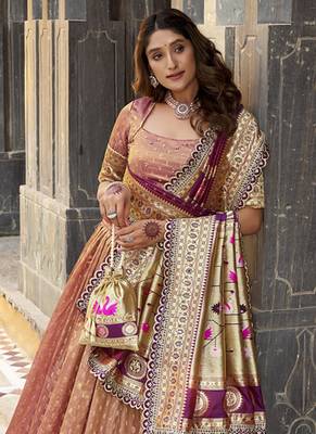 Festive Shimmer Organza Zari Woven Chaniya Choli with Designer Lace Border 4