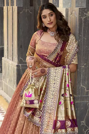 Festive Shimmer Organza Zari Woven Chaniya Choli with Designer Lace Border