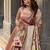 Festive Shimmer Organza Zari Woven Chaniya Choli with Designer Lace Border