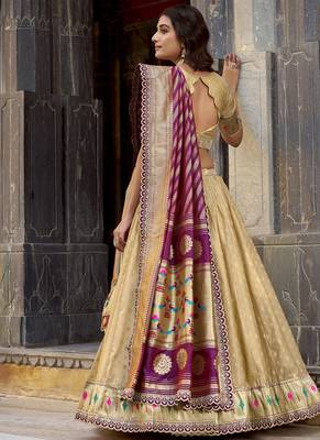 Festive Shimmer Organza Zari Woven Chaniya Choli with Designer Lace Border 3