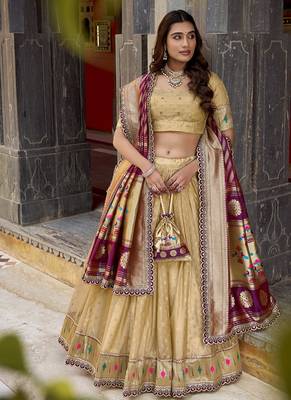Festive Shimmer Organza Zari Woven Chaniya Choli with Designer Lace Border 4