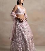 Light Pink Net Embroidered Designer Party Wear Lehenga Choli Set