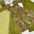 Green floral printed chanderi kurta palazzo set