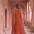 Rust colour georgette ethnic ceremonial wedding reception gown