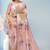 Light pink & sand beige printed andhra cotton saree with running blouse