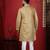 Chikoo embroidered kurta payjama for mens' traditional looks