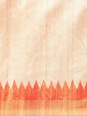 Colourblocked Silk Blend Tussar Saree 4