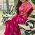 Floral Zari Silk Banarasi Saree