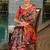 Rajkoti Ikkat Ethnic Motifs Patola Saree