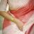 Checked Tussar Saree