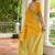 Handloom Raw Silk Saree