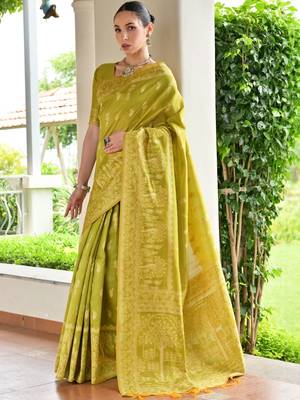 Woven Design Zari Banarasi Saree 4