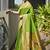 Woven Design Zari Paithani Saree with Blouse