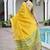 Woven Design Saree Pure Zari Border with Contrast Patola Blouse