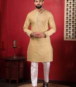 Chikoo embroidered kurta payjama