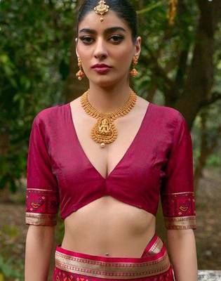 Woven Design Zari Banarasi Saree 5