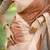 Checked Tussar Saree