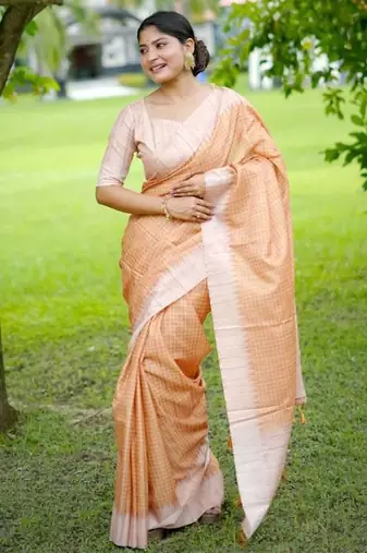 Stylish Checked Patterns Printed Tussar Silk Saree
