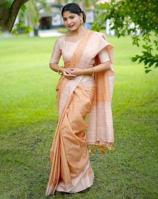 Stylish Checked Patterns Printed Tussar Silk Saree 2