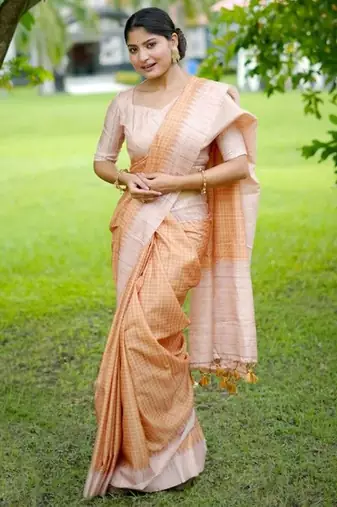 Stylish Checked Patterns Printed Tussar Silk Saree