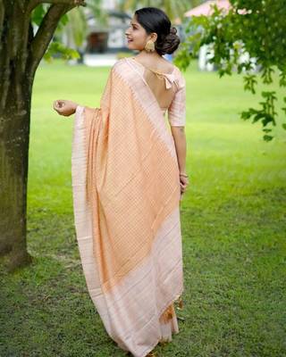 Stylish Checked Patterns Printed Tussar Silk Saree 3