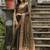 Tortilla Coffee Woven Design Linen Silk Zari Butti Weaves Saree