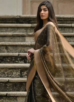 Tortilla Coffee Woven Design Linen Silk Zari Butti Weaves Saree 3