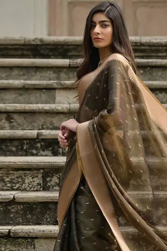 Tortilla Coffee Woven Design Linen Silk Zari Butti Weaves Saree