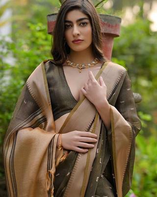 Tortilla Coffee Woven Design Linen Silk Zari Butti Weaves Saree 4
