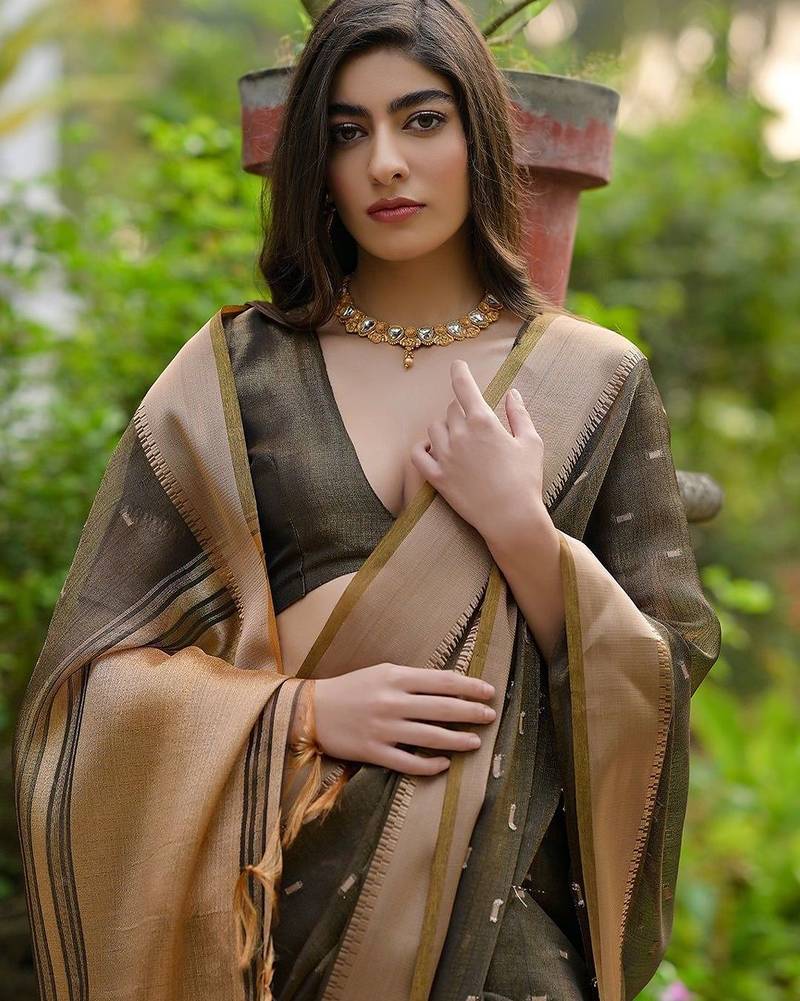 Tortilla Coffee Woven Design Linen Silk Zari Butti Weaves Saree