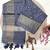 Woven Design Zari Ikat Saree