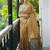 Leheriya Zari Art Silk Tussar Saree