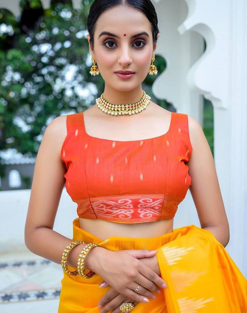 Ethnic Motifs Phulkari Tussar Saree