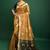 Woven Design Zari Patola Saree